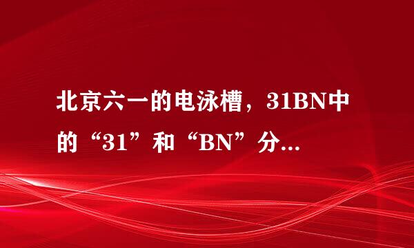 北京六一的电泳槽，31BN中的“31”和“BN”分别是 什么意思?