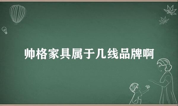 帅格家具属于几线品牌啊