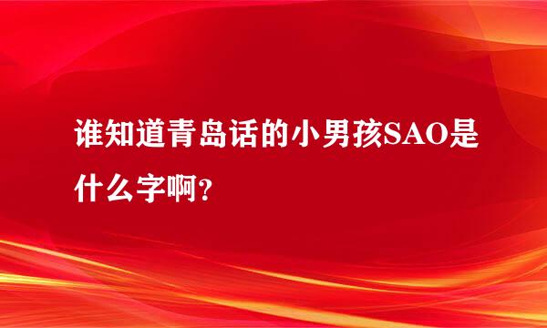 谁知道青岛话的小男孩SAO是什么字啊？