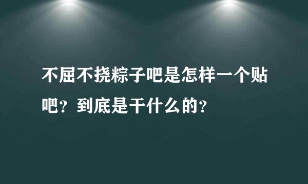 不屈不挠粽子吧是怎样一个贴吧？到底是干什么的？