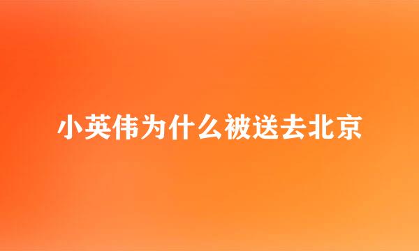 小英伟为什么被送去北京