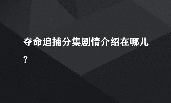 夺命追捕分集剧情介绍在哪儿？