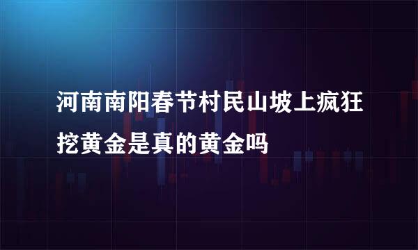 河南南阳春节村民山坡上疯狂挖黄金是真的黄金吗