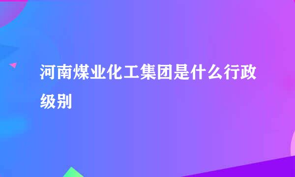 河南煤业化工集团是什么行政级别