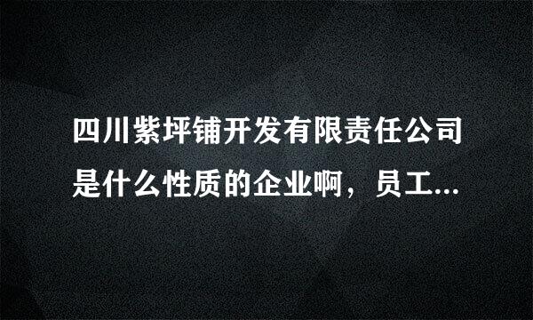 四川紫坪铺开发有限责任公司是什么性质的企业啊，员工待遇咋样？