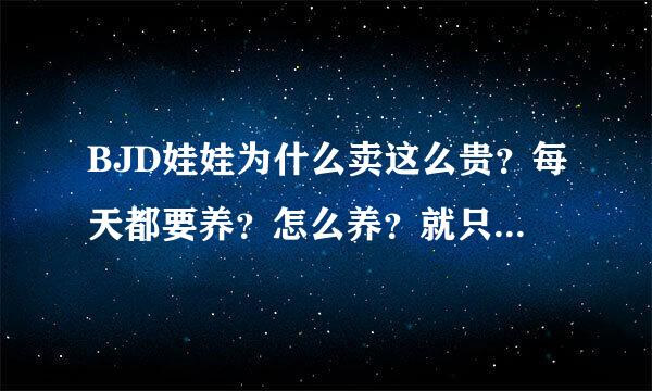 BJD娃娃为什么卖这么贵？每天都要养？怎么养？就只是换衣服？不养会怎么样？