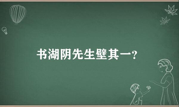 书湖阴先生壁其一？