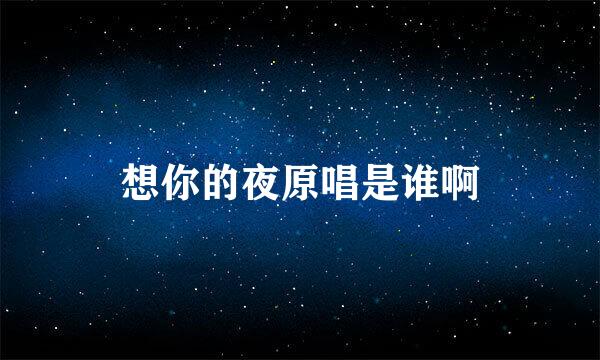 想你的夜原唱是谁啊