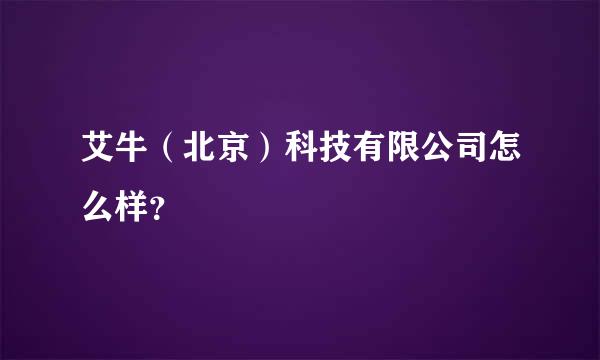 艾牛（北京）科技有限公司怎么样？