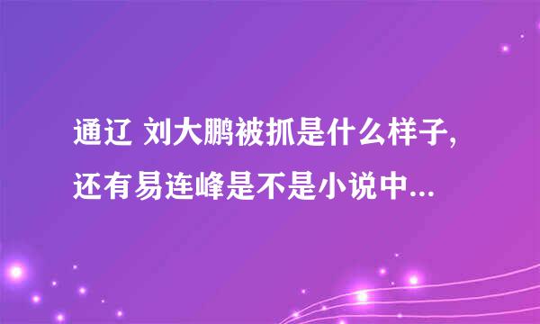 通辽 刘大鹏被抓是什么样子,还有易连峰是不是小说中的红兵大哥