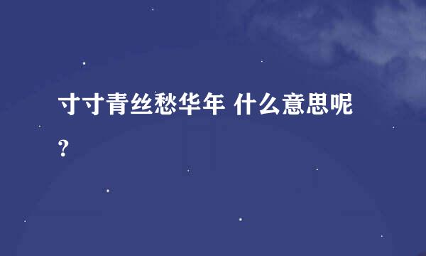 寸寸青丝愁华年 什么意思呢？