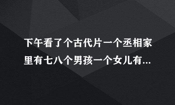 下午看了个古代片一个丞相家里有七八个男孩一个女儿有人知道是什么电视吗？