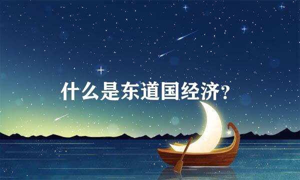 什么是东道国经济？