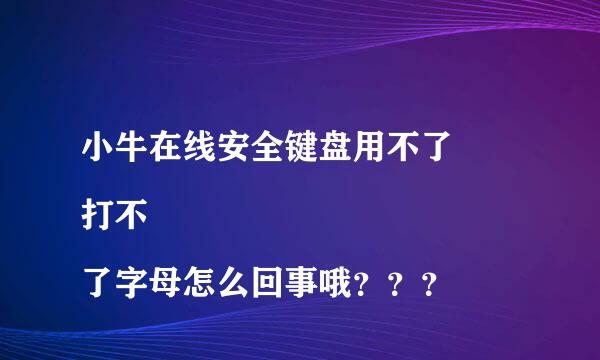 小牛在线安全键盘用不了
打不了字母怎么回事哦？？？