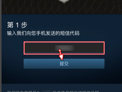 steam一直验证登录信息怎么回事（手机）