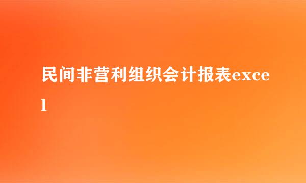 民间非营利组织会计报表excel