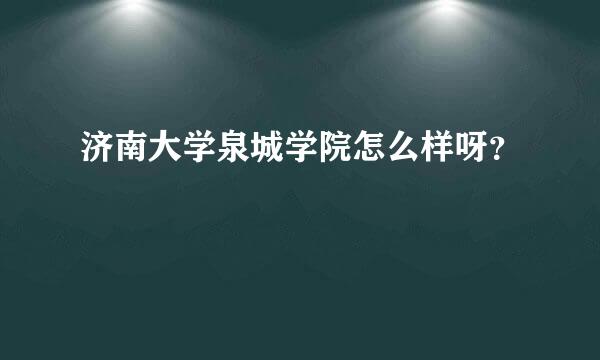 济南大学泉城学院怎么样呀？