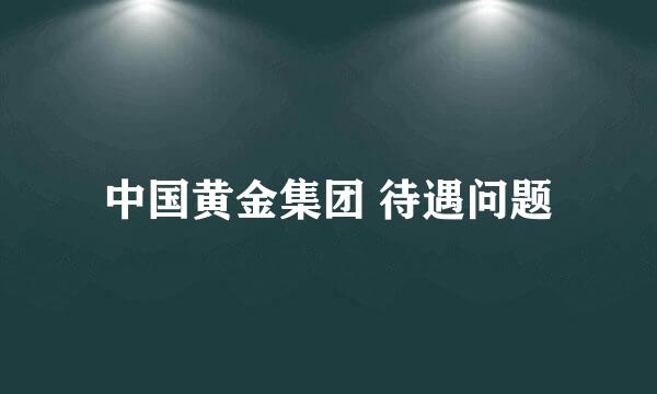 中国黄金集团 待遇问题