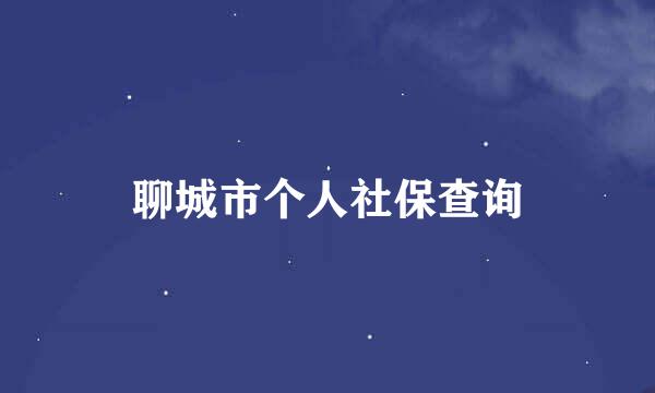 聊城市个人社保查询