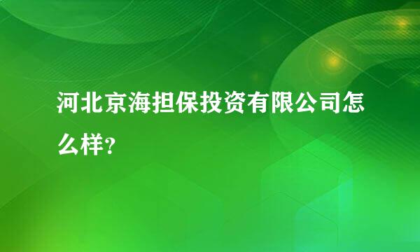 河北京海担保投资有限公司怎么样？