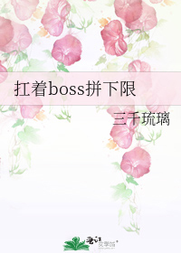 求《扛着BOSS拼下限》等几部言情小说TXT