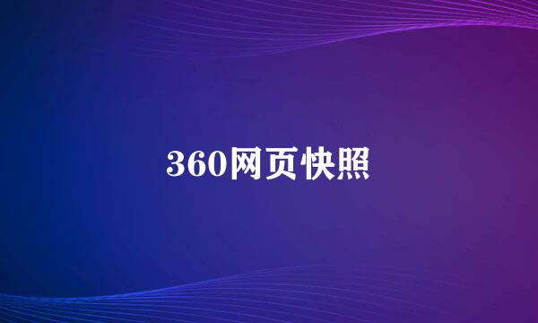 360网页快照