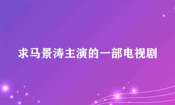 求马景涛主演的一部电视剧