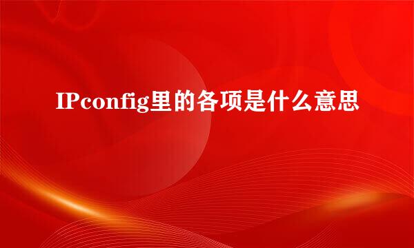 IPconfig里的各项是什么意思