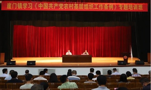 按照《中国共产党农村基层组织工作条例》规定，乡镇党委（）应当对党员分期分批进