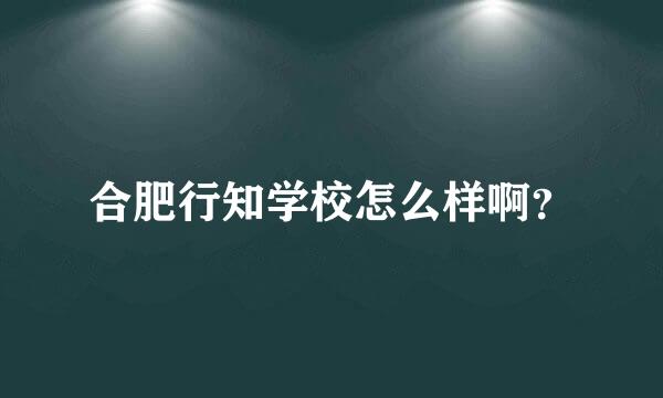 合肥行知学校怎么样啊？