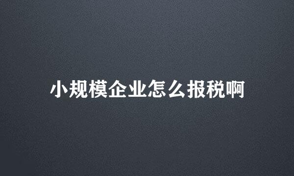 小规模企业怎么报税啊