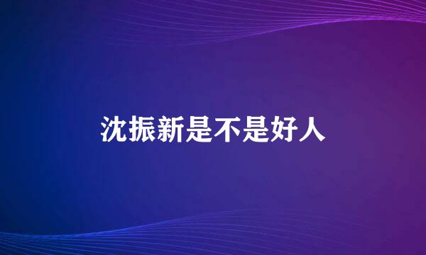 沈振新是不是好人