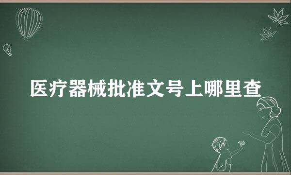 医疗器械批准文号上哪里查