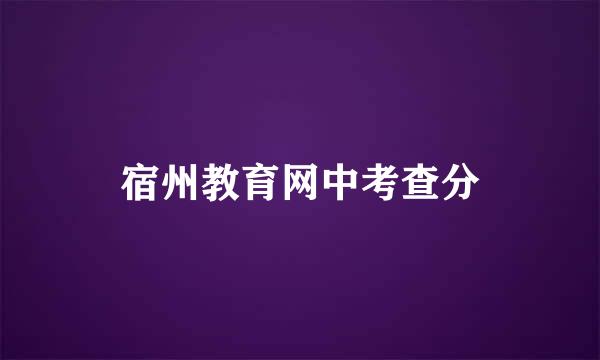 宿州教育网中考查分