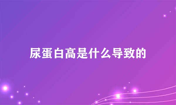 尿蛋白高是什么导致的