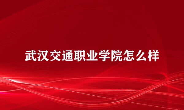 武汉交通职业学院怎么样