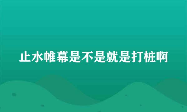 止水帷幕是不是就是打桩啊