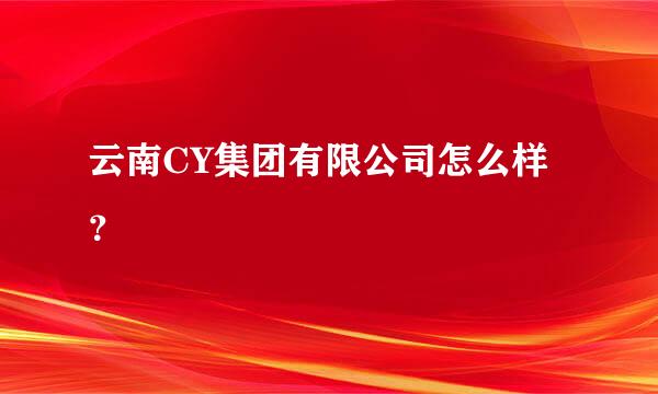 云南CY集团有限公司怎么样？