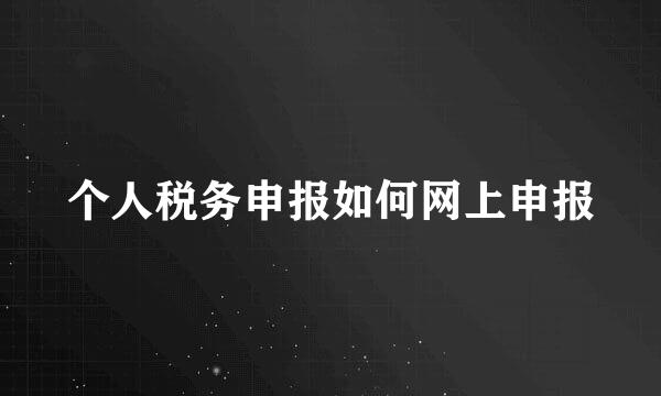 个人税务申报如何网上申报