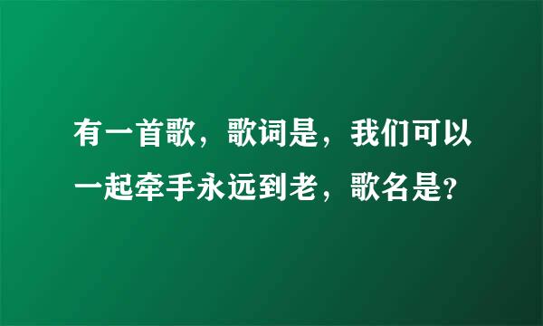 有一首歌，歌词是，我们可以一起牵手永远到老，歌名是？