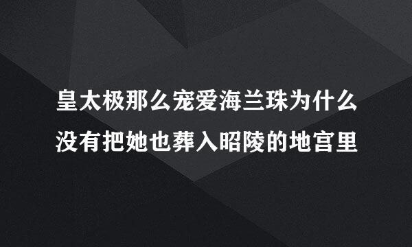 皇太极那么宠爱海兰珠为什么没有把她也葬入昭陵的地宫里