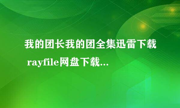 我的团长我的团全集迅雷下载 rayfile网盘下载(全43集)