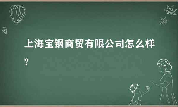 上海宝钢商贸有限公司怎么样？