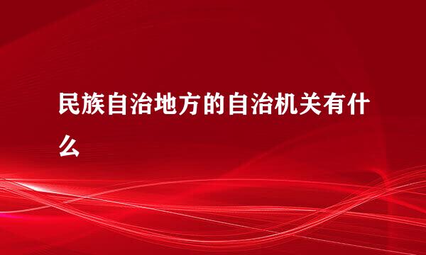 民族自治地方的自治机关有什么