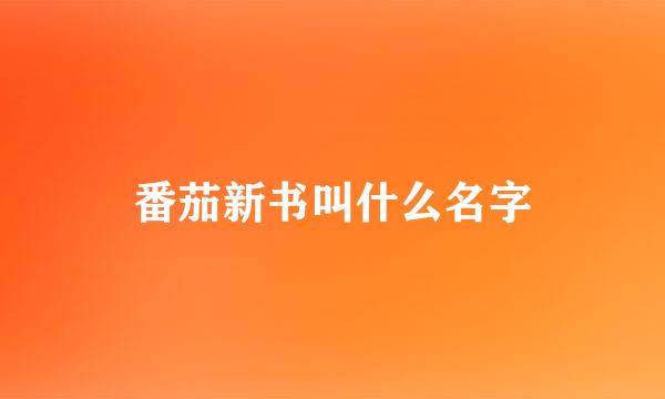 番茄新书叫什么名字