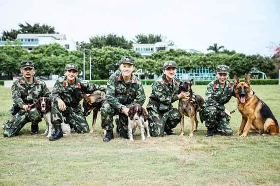 你都知道哪些关于警犬的电视剧？