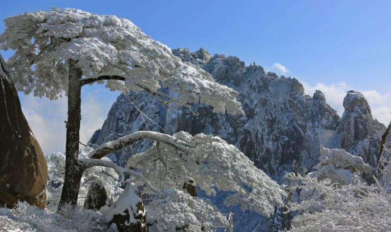 大雪压青松，青松挺且直，要知松高洁，待到雪化时 是什么意思