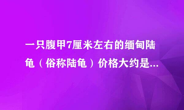 一只腹甲7厘米左右的缅甸陆龟（俗称陆龟）价格大约是多少人民币？