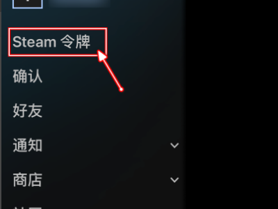 steam一直验证登录信息怎么回事（手机）