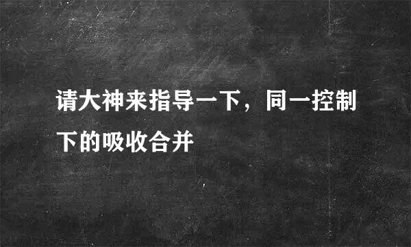 请大神来指导一下，同一控制下的吸收合并